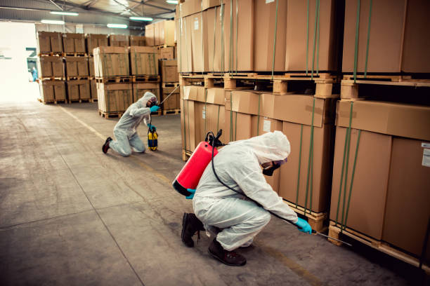 Best Affordable Pest Control Services  in Blackhawk, CA