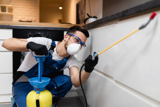Best Rat Extermination Near Me  in Blackhawk, CA
