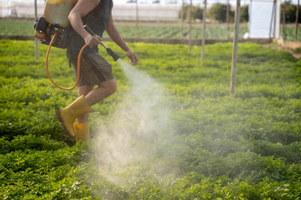 Best Pest Prevention Services  in Blackhawk, CA