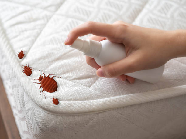 Best Pest Removal Services  in Blackhawk, CA