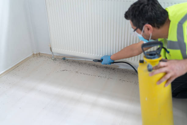 Flea Control Services in Blackhawk, CA